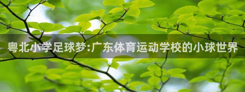 德国意昂5集团：粤北小学足球梦:广东体育运动学校的小球世界