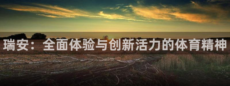 意昂5体育4：瑞安：全面体验与创新活力的体育精神