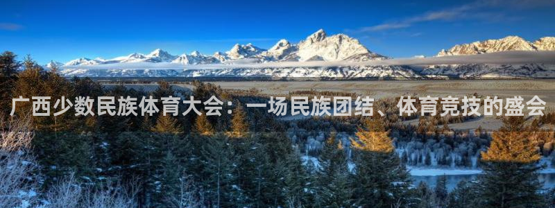意昂5体育在线注册：广西少数民族体育大会：一场民族团结、体育竞技的盛会