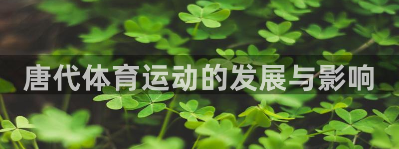 意昂5平台招商：唐代体育运动的发展与影响