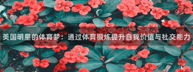 意昂5体育注册：美国明星的体育梦：通过体育锻炼提升自我价值与社交能力