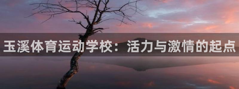 意昂5体育用品：玉溪体育运动学校：活力与激情的起点