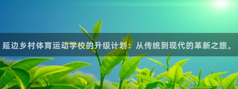 意昂5能源：延边乡村体育运动学校的升级计划：从传统到现代的革新之旅。