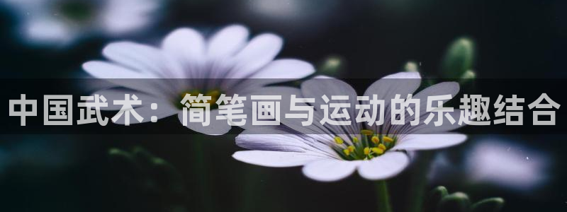 意昂5注册：中国武术：简笔画与运动的乐趣结合