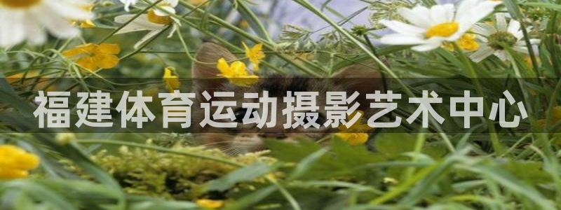 意昂5代理注册：福建体育运动摄影艺术中心