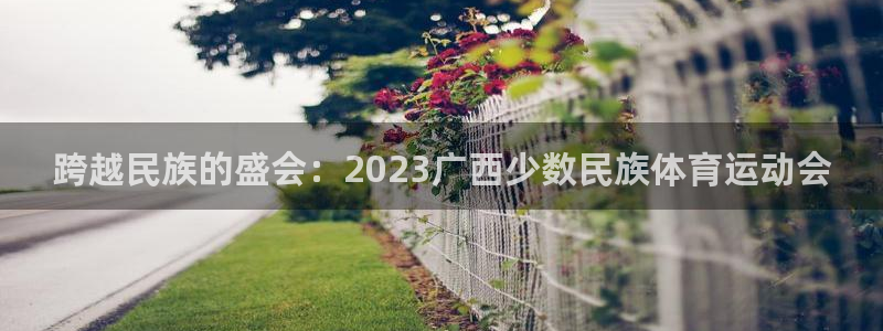 意昂5平台注册：跨越民族的盛会：2023广西少数民族体育运动会