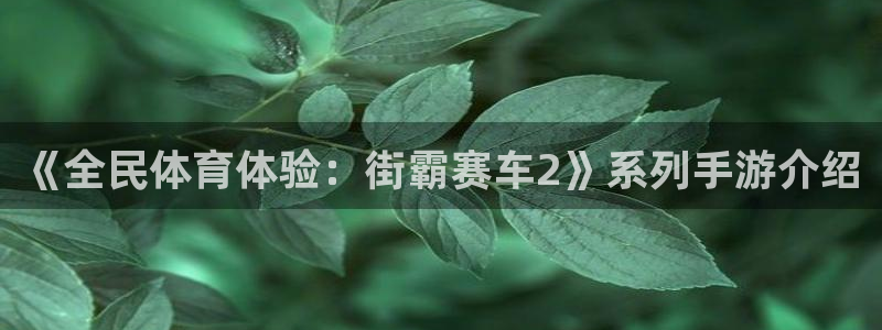 意昂54平台注册：《全民体育体验：街霸赛车2》系列手游介绍