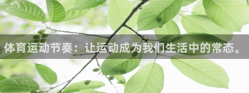 意昂5平台主管：体育运动节奏：让运动成为我们生活中的常态。