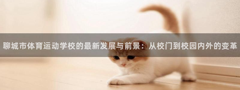 意昂52体育登录入口：聊城市体育运动学校的最新发展与前景：从校门到校园内外的变革