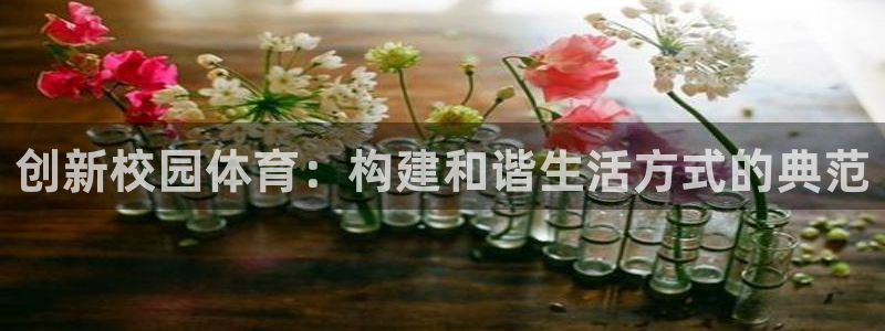 意昂52登录地址：创新校园体育：构建和谐生活方式的典范