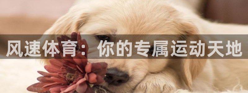 意昂54平台注册：风速体育：你的专属运动天地
