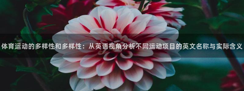 意昂扬是什么意思：体育运动的多样性和多样性：从英语视角分析不同运动项目的英文名称