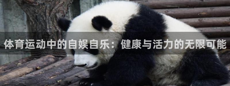意昂招商：体育运动中的自娱自乐：健康与活力的无限可能