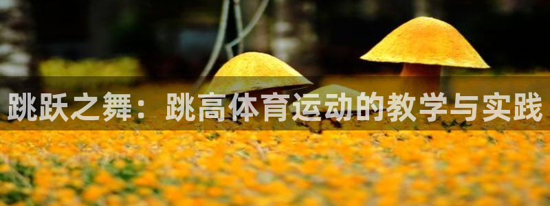 东莞市意昂5电子科技有限公司：跳跃之舞：跳高体育运动的教学与实践