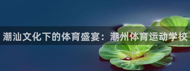 德国意昂集团：潮汕文化下的体育盛宴：潮州体育运动学校