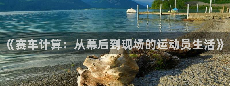 意昂5体育免费注册入口：《赛车计算：从幕后到现场的运动员生活》