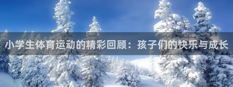 意昂5体育凯捷代理注册：小学生体育运动的精彩回顾：孩子们的快乐与成长