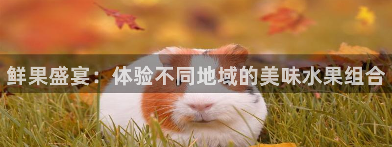 意昂5体育游戏：鲜果盛宴：体验不同地域的美味水果组合