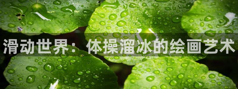 意昂54平台：滑动世界：体操溜冰的绘画艺术