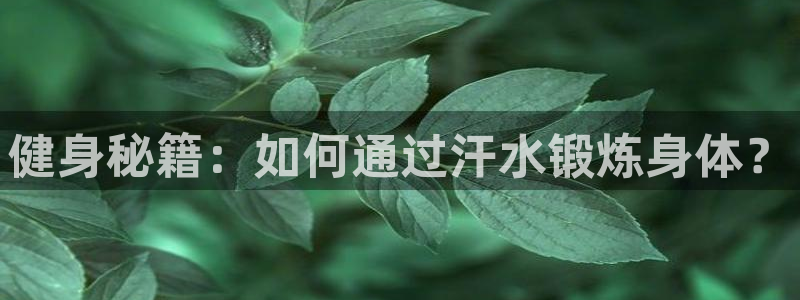 意昂54平台：健身秘籍：如何通过汗水锻炼身体？